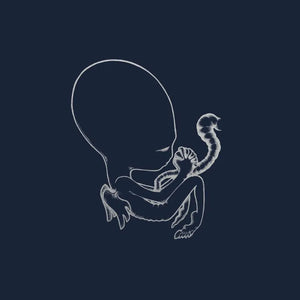 Sigur Rós – Ágætis Byrjun CD